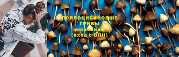гашиш Покачи